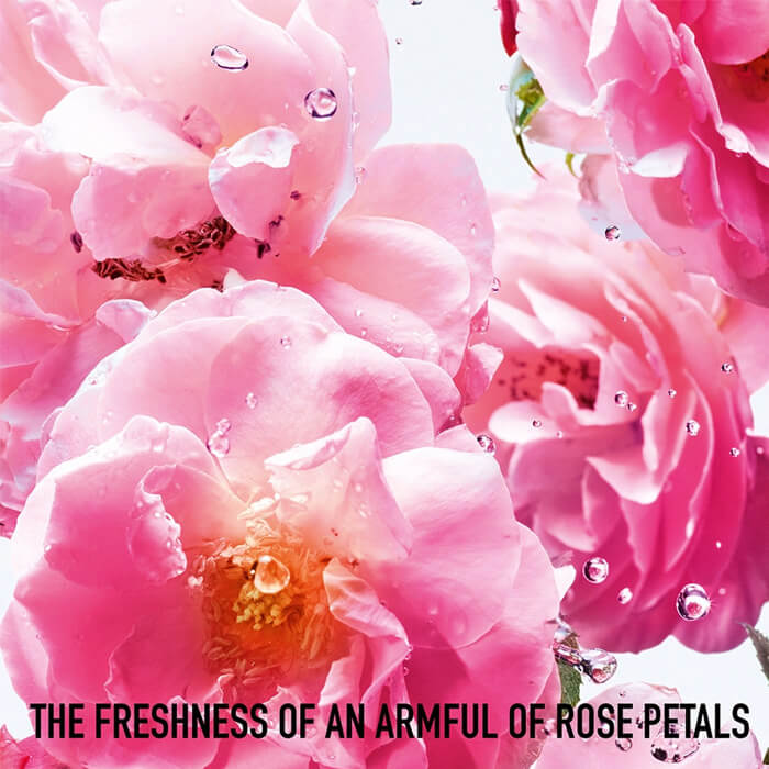 น้ำหอม Miss DIOR Rose N'Roses เป็นกลิ่นหอมของดอกไม้ที่เปล่งประกายความหลากหลายของดอกกุหลาบ Grasse Rose ที่มีสีสันและสดชื่นมีชีวิตชีวาด้วยกลิ่นซิททรัส Miss DIOR Rose N'Roses 
