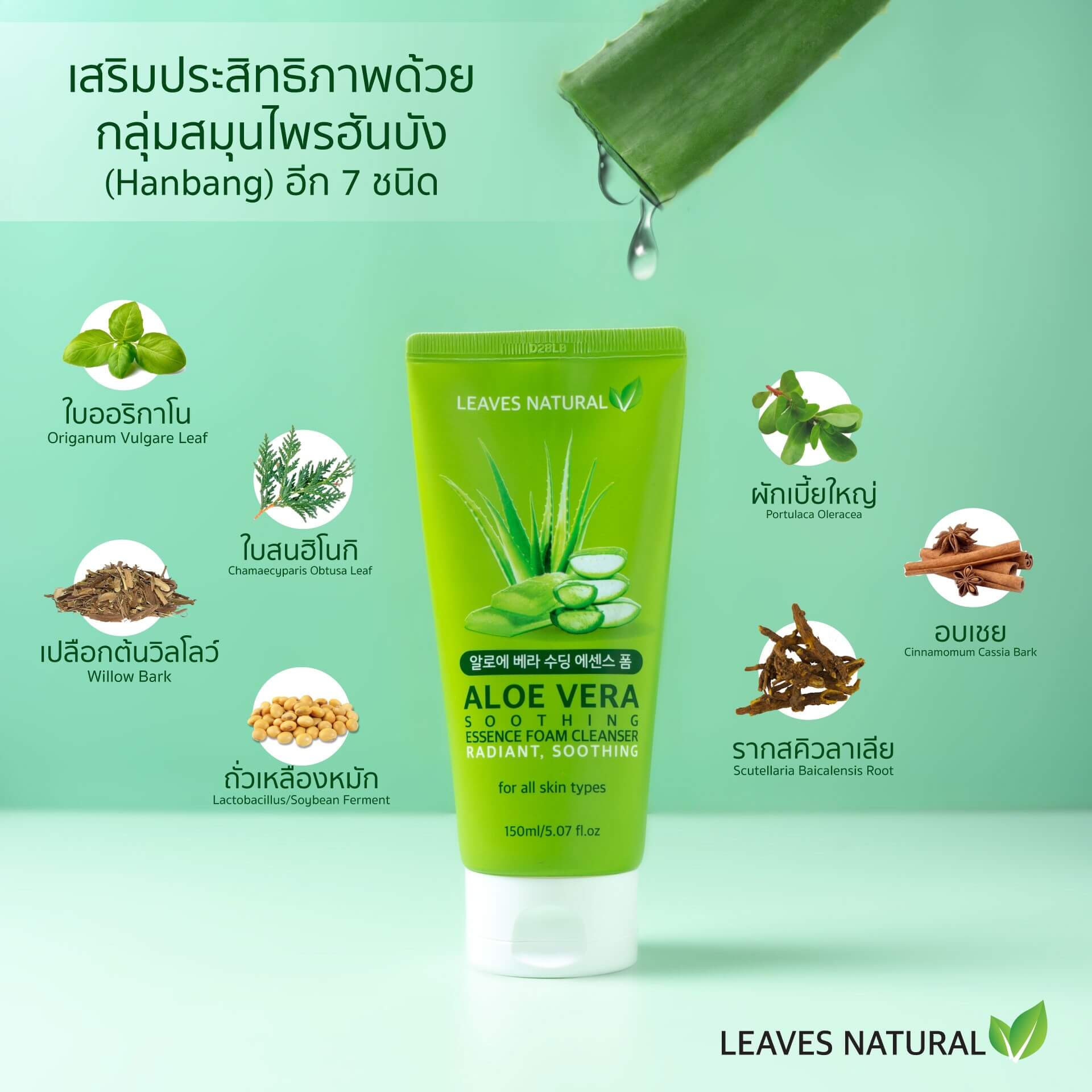 Aloe Vera Soothing Essence Foam Cleanser,Foam,โฟม,โฟมล้่งหน้า,ทำความสะอาดหน้า,ลดสิว,ล้างหน้า